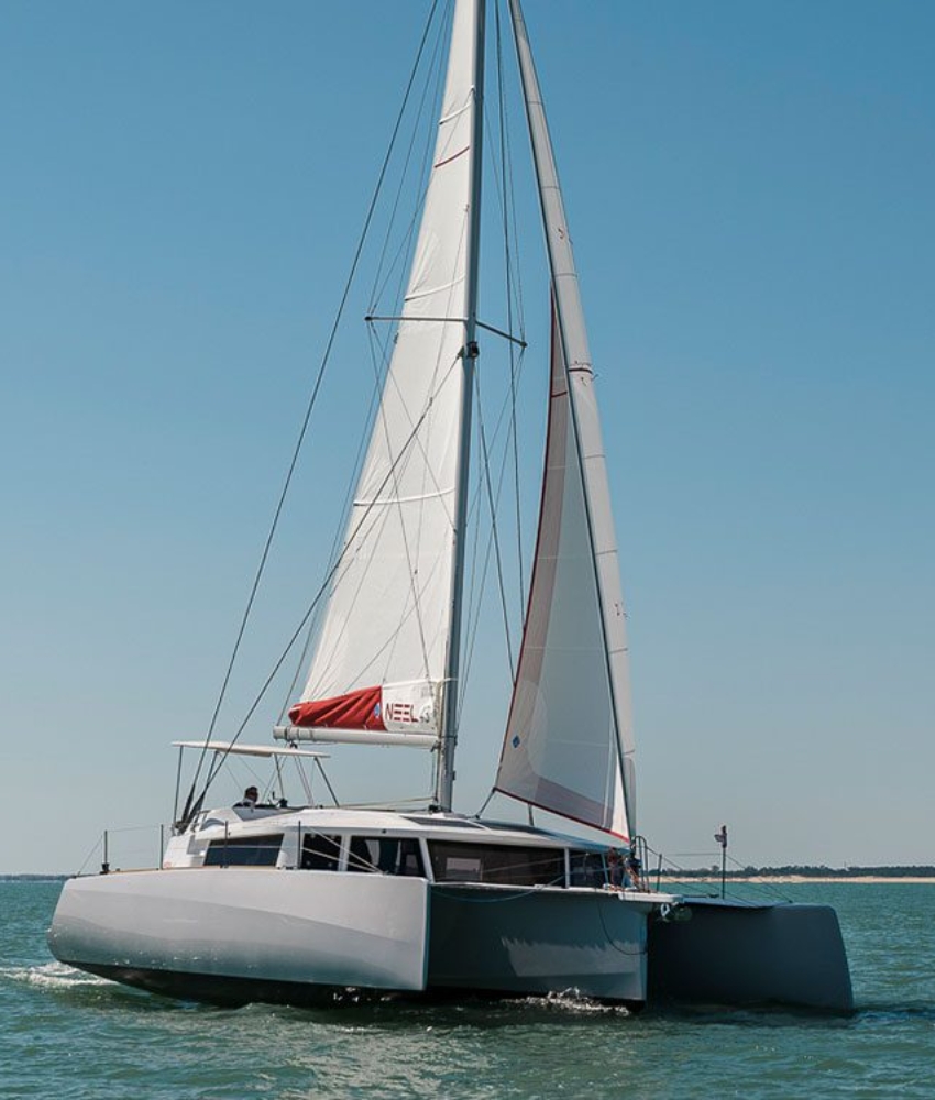 NEEL 43 : nominated for two awards 2