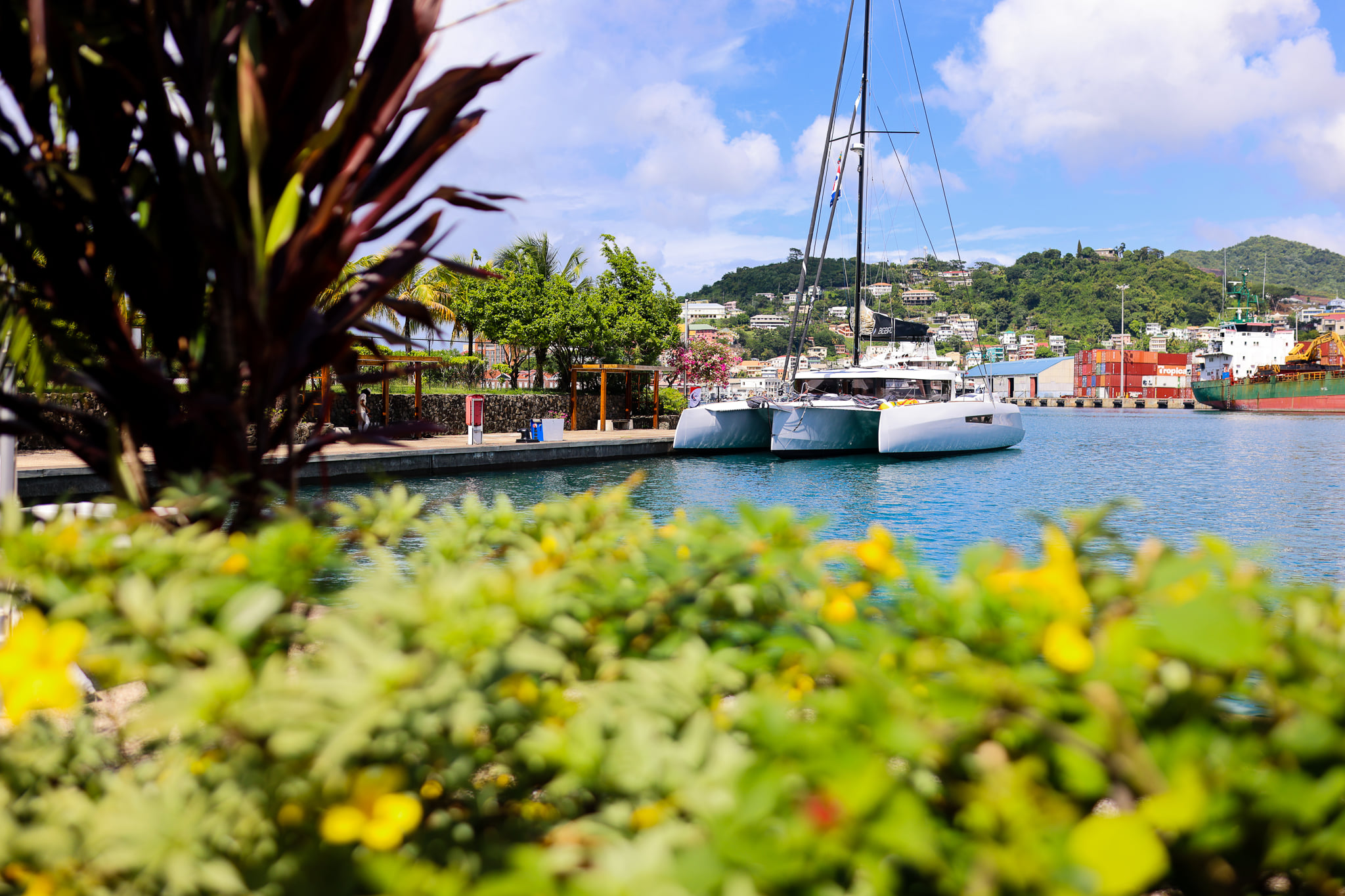 Winning the ARC+ with a NEEL 47 - Steve